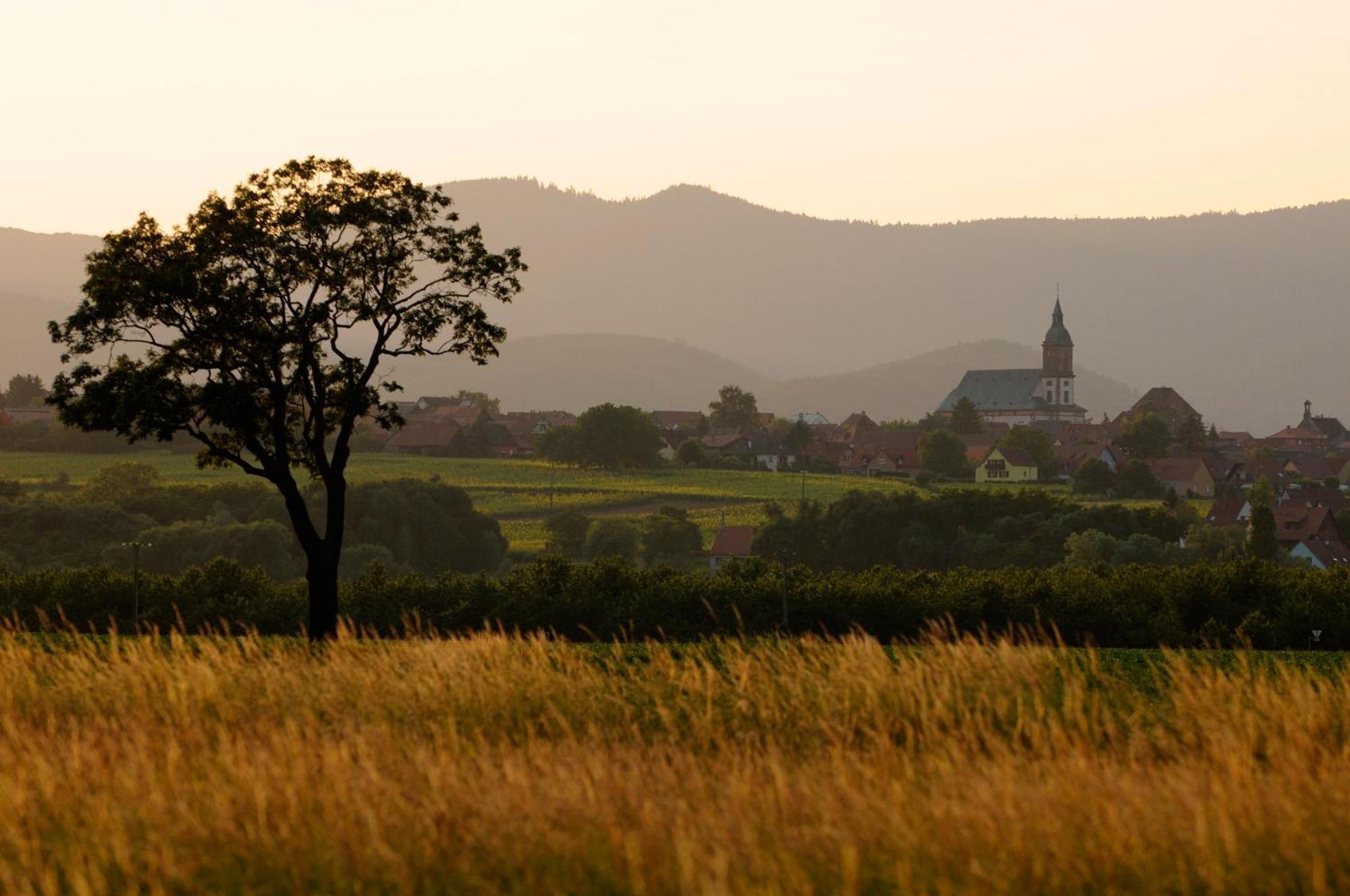 Gite Jeanne Familial - Calme - Parking Ebersheim Esterno foto