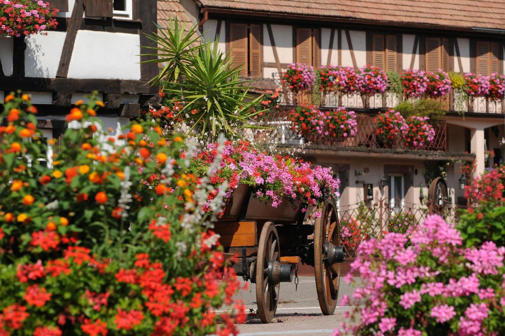 Gite Jeanne Familial - Calme - Parking Ebersheim Esterno foto
